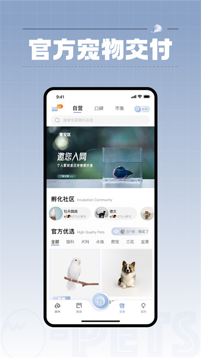 集宠区app测试版3