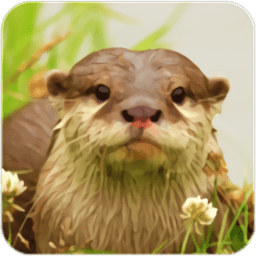 水獭模拟经营游戏(the otter)