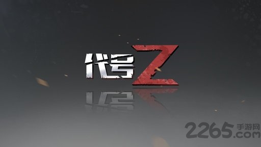 代号z手游网易版4