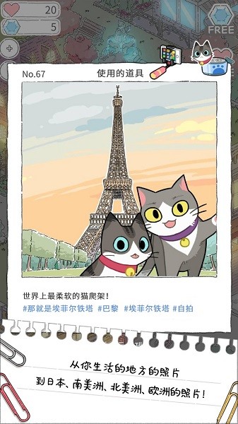 猫友圈猫咪的旅行3