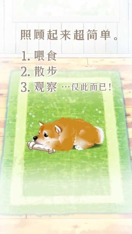 养育柴犬的治愈游戏3